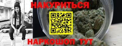 крисы Котовск