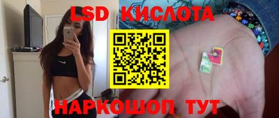 крисы Котовск